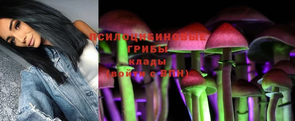 скорость Алексеевка