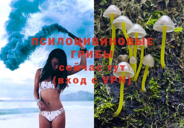 соль ск Алексин