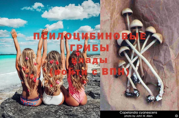 соль ск Алексин