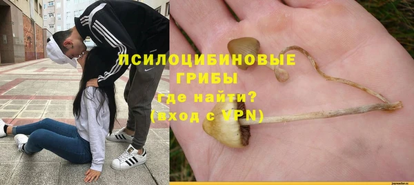 соль ск Алексин
